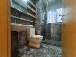Suites @ Cairnhill (D9), Apartment #607119971